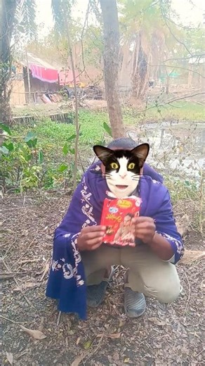 Em trai tìm kiếm một hồi lâu và phát hiện ra đây chính là con mèo trong điện thoại.yp2🤣🍟🐱#shorts