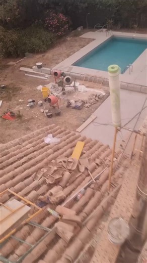 Videos de Fernando Arevalo 10 (@fernando.arevalo1012) con “sonido original - CATS”