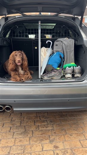 Getting trip-ready the Travall way 🧳🐾 Guard? ✅ Divider? ✅ Boot Liner? ✅ Bumper Protector? ✅ Oh... and the dog? ✅ #DogTravel #DogFriendly #TravelWithPets #AdventureWithDogs #DogOwners #PetTravelEssentials #DogCarSafety #TravelGearForDogs #DogMum #DogDad #TravellingWithPets #PetAdventure #DogsOfInstagram | Travall