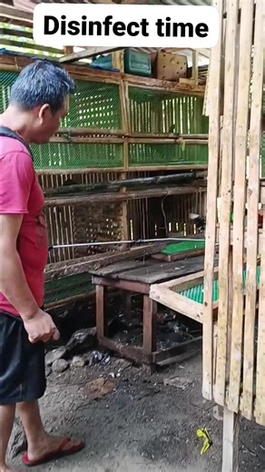 Para sa mga piso #reels #everyoneactive #engagementisthekey #nativechicken | Jorie Baez