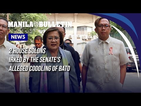 2 House solons irked by the Senate's alleged coddling of Bato
