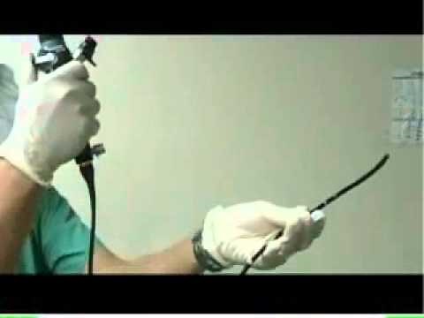 Intubation Using a Flexible Fiberoptic Bronchoscope