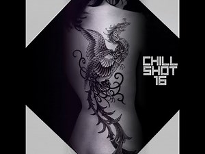 Chill Breakbeat Shot 16 (lounge/relax breaks 2022 live mix)
