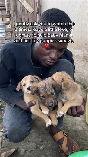 Make a difference today ❤️ Your support helps me keep going. PayPal 🔗 in my bio 🙏 #fyp