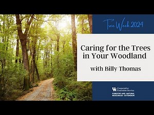 Tree Week 2024: Caring for the Trees in Your Woodlands