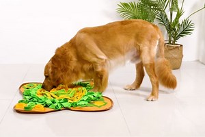 Snuffle Mat: Amazon's Top-Rated Treat Toy for Dogs Under $40