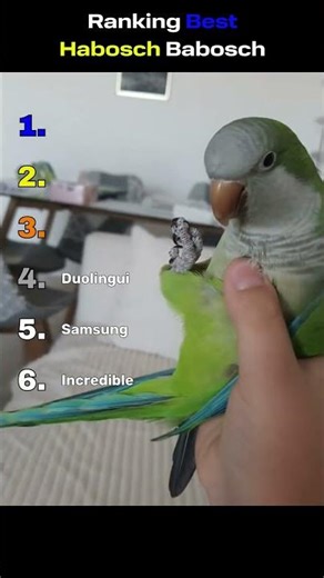 RANKING BEST HABOSCH BABOSCH😱