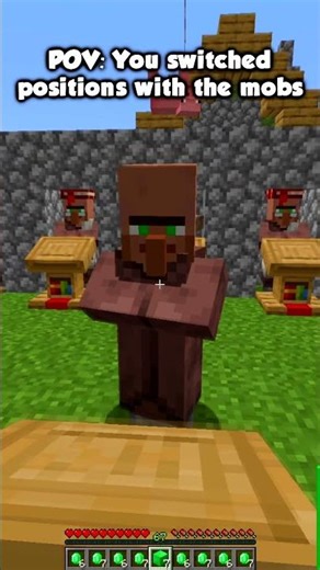 Minecraft roles reversed