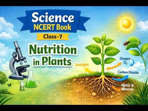 Nutrition in Plants 🌿 | Class 7 Science NCERT Full Chapter Explained | Concept Capsules