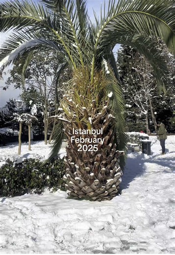 Istanbul's Snowy February in 2025