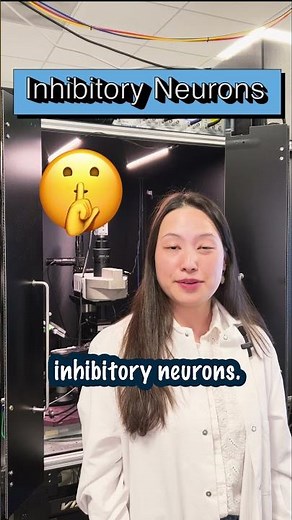 How do neurons talk to each other? | Basically Science