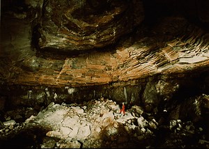 Project Gnome - Alchetron, The Free Social Encyclopedia