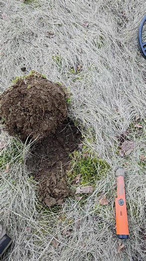 #metaldetectingtips #newfoundland #canadiandigger #metaldetectingcanada #diggintherock #metaldetectinggear #garrettmetaldetectors #metaldetecting #stjohns #@doyle