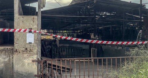 23 pig farms in Penang now hit with ASF [NSTTV] | New Straits Times