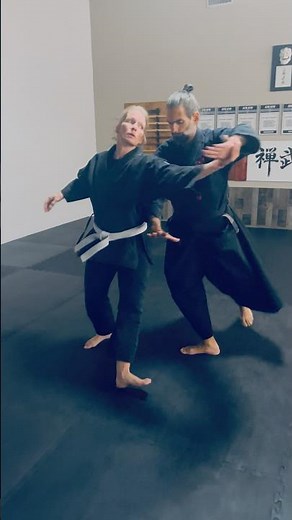 Aikido Martial Fusion Katatedori Sankyo Nage