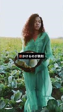 How to grow Chinese cabbage