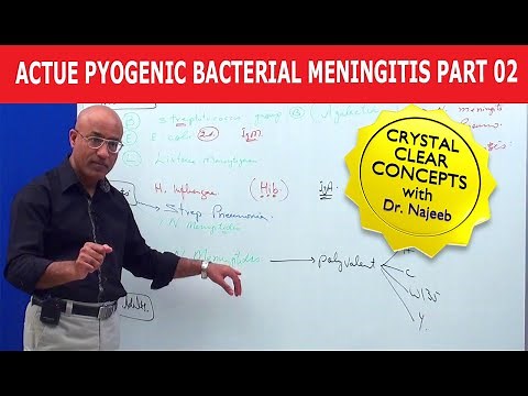 Acute Pyogenic Bacterial Meningitis Part 2 🩺