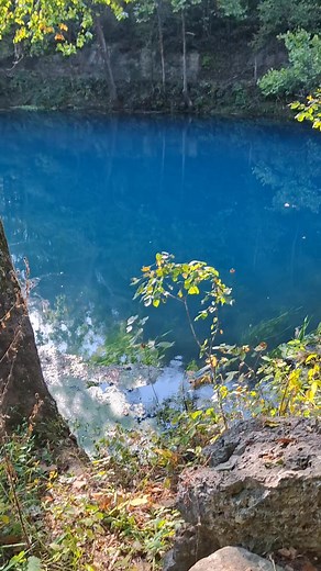75K views · 1.1K reactions | Look how blue this spring is. This is Alley Spring near Eminence Mo. | Show Me Creeks | Facebook