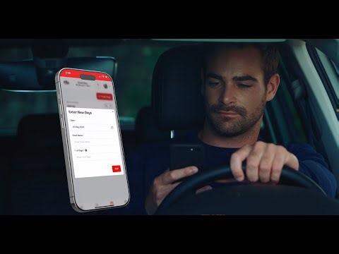 Track day maintenance made easy with DashBook