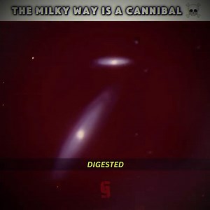 Our Galaxy Has Been Eating Other Galaxies
