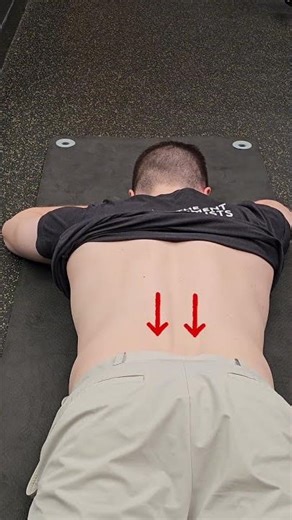 Prone Multifidi Isometrics #core #coreworkout #backpain #backpainrelief #lowbackpain #physiotherapy