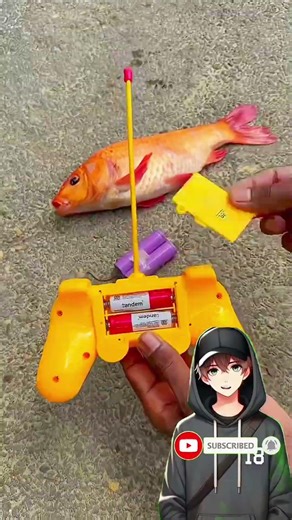 Big Rc fish Unboxing Remote control fish🤎