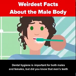 The male body comes with a few surprises, and in today's new video you're going to find out more about being a man than you bargained for! Don't miss the weirdest facts about the male body, some you may have heard before, but others we are sure will shock you! | The Infographics Show