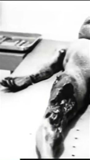 ALIEN AUTOPSY | # aliens #ufo #alienautopsy # autopsy #interdimensionalbeings #extraterrestials #the