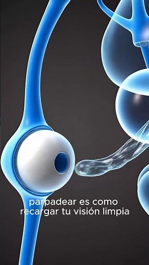 ¿Qué pasa si dejas de parpadear? | El impactante efecto en tus ojos #shorts