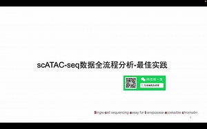 scATAC-seq 单细胞染色质可及性数据全流程分析-最佳实践