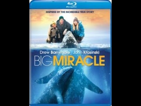 Opening to Big Miracle 2012 Blu-ray (2025 reprint)