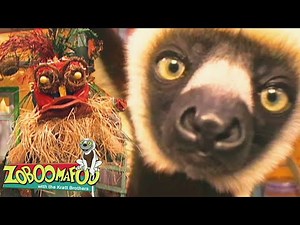 Funny Faces | Zoboomafoo - WildBrain | Full Episodes for Kids