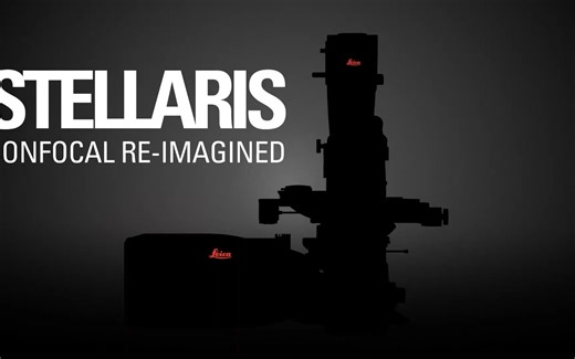 如何使用LAS X Navigator与大样本快速交互