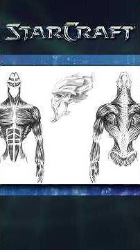 ANATOMY of the Protoss | A Crash Course #starcraft #lore #protoss #powerslave_channel