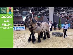 Les Chevaux de Trait au Salon International de l'Agriculture de Paris - Le Film