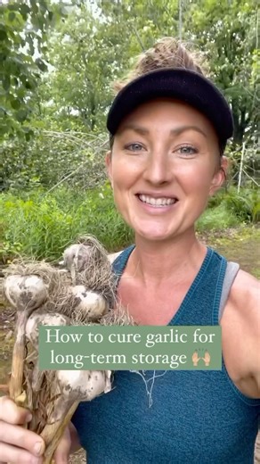 How to Cure Garlic for Long-Term Storage 🧄#garlic #growgarlic #garliccuring