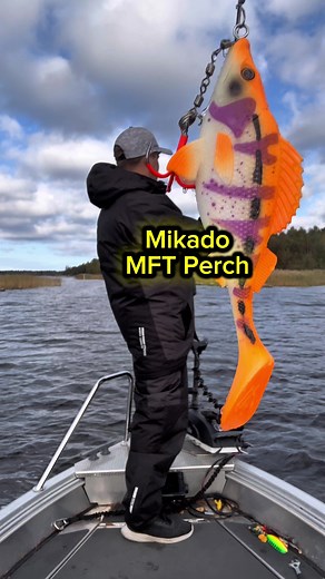 Mikado MFT Perch: Kalastus syksyllä