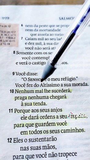 Salmo 91 Completo: Refúgio e Proteção Divina