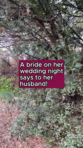 9K views · 148 reactions | A bride on her wedding night says to her husband! 藍 #funny #reels #jokes #comedy #funnyreels #viralreels #welovejokesuk | We Love Jokes | Facebook