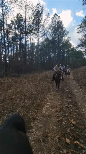 What a fantastic Christmas Eve 🎄 with my Tennessee Family. We enjoyed a 2 hour ride today. #grateful #merrychristmas | Little Creek Ranch in Waynesboro TN