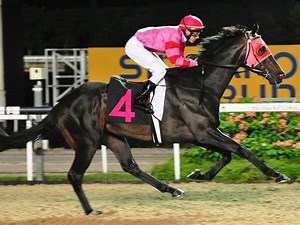 Baertschiger Hopes It Stays Swede As Till Derby