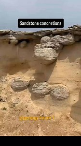 1.6K reactions · 156 shares | SANDSTONE CONCRETIONS ~univ of wyo geological museum (tiktok) #geology #geologist #sandstoneconcretion | Geology forum 1 | Facebook