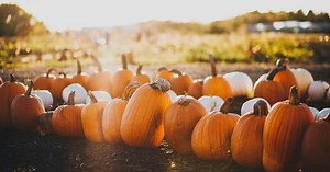 These outdoor fall festivals near Madison celebrate the season