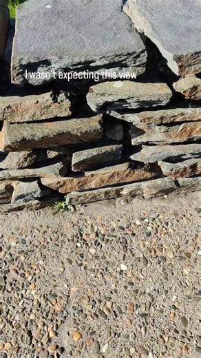 Proof that sometimes the best views are right off the side of the road 🛣️✨