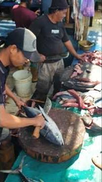 Tuna Cutting Skills | Tuna Cutting Show