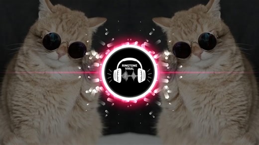 Cute Cat Ringtone Compilation