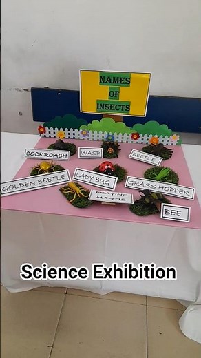 Coolest Science Fair Projects