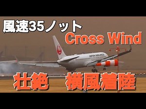 ✈✈成田空港 プロの神業 壮絶横風着陸 ウインドシア Crosswind landing日本航空 (Japan Airlines)Boeing 767-346/ERBoeing 777-346/ER