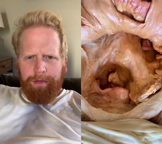 Average Gay Ginger (@averagegayginger)’s videos with original sound - IOHA