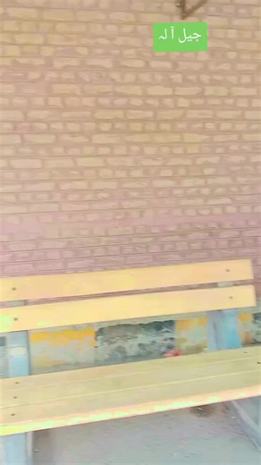 Insights into Prison Conditions in Pakistan